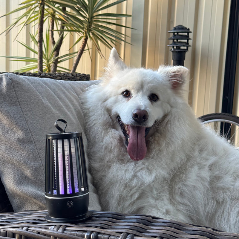 2 in 1 LED Mosquito Repellent Zapper