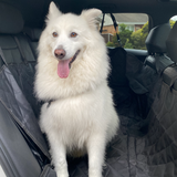 Pet Back Seat Car Cover