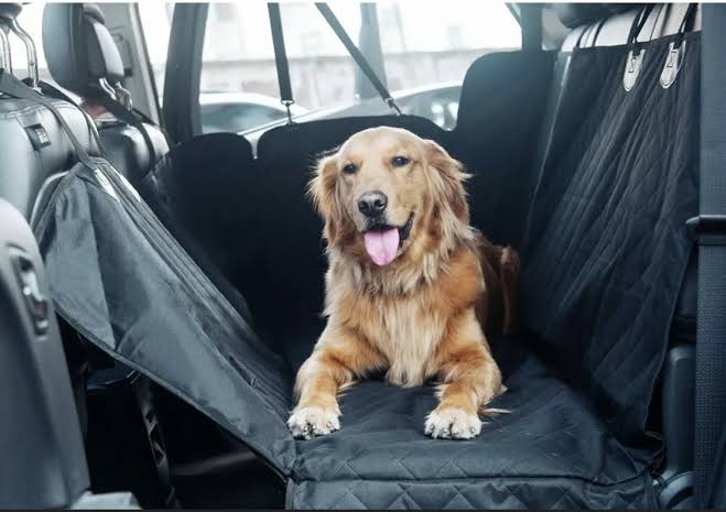 Pet Back Seat Car Cover